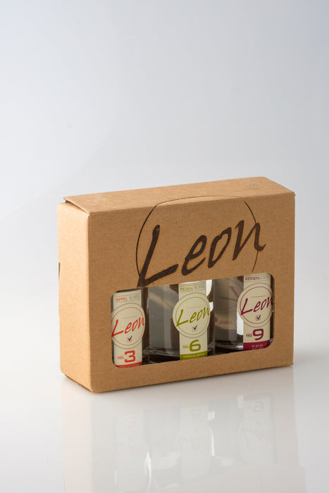 LEON MINISET BORREL